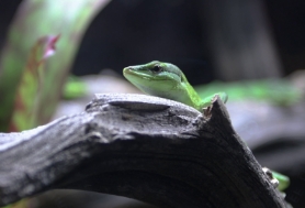 Three small touchscreens set up in front of a larger screen mounted on the wall