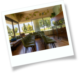 Wall art of an elephant and a macaw