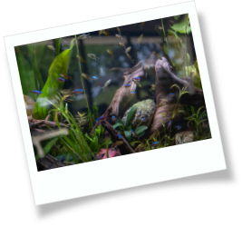 Waiting area with wall art of a giraffe