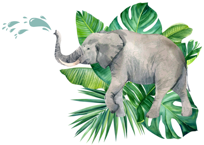 Illustration of an elephant