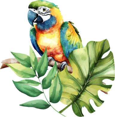Illustration of a macaw bird perched on a branch